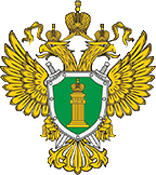 Прокуратура города Санкт-петербург